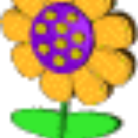 Champa_R