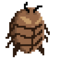 PeloviaOliver
