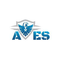 Avessecurity