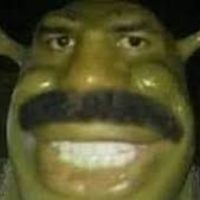 ihavedihcheese8