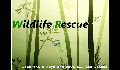 play WildlifeRescue