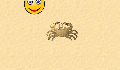 play little-crab-1