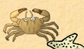 play Crab war!!!)