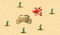 play Little Crab