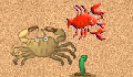 play The Little Crab Game