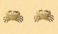 play 2 Player crab game