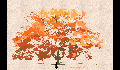 play Falling Leaves Game