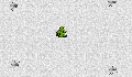 play frog eat