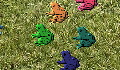 play Breed Frogs (Inspired by Natural Selection by Mik)