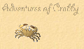play Adventures of Crabby
