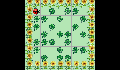 play Hama Wereng