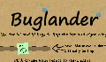 play buglander