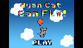play NyanCat Can Fly!