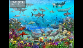 play Sbob-v2.4