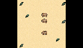 play leaves-and-wombats