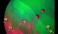 play Flower gather