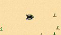 play little-crab