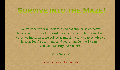 play Survive into the Maze!
