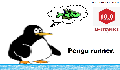 play pengu runner