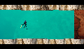 play The Grand Spearfishing Adventure