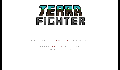 play Terra Fighter