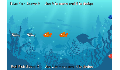 play Game Project - Fish Race