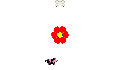play Flower Gather Game