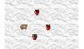 play Beary Rush