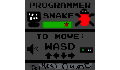 play Programmer snake