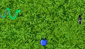 play Snake Chase Game