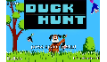 play Remake of duckhunt