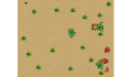 play Trick the Turtle