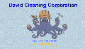 play David Cleaning Corporation