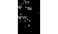 play Ahmad Zaki_2024110012_LatihanALIEN2021