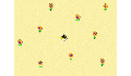 play Bee