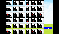 play 20310cards