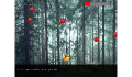 play Fox Escape: The Lab Breakout