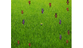 play test game